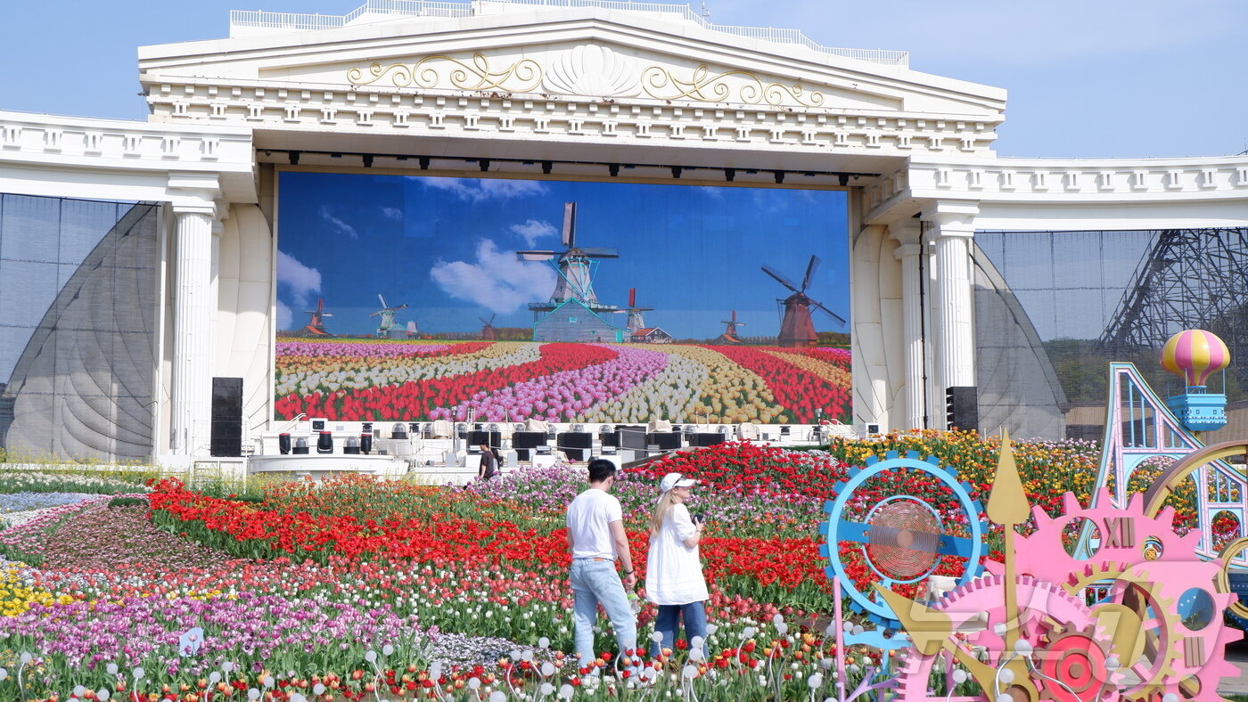 본문 이미지 - 포시즌스가든에서는 튤립 밭에서 인증사진을 찍을 수 있다.ⓒ 뉴스1 윤슬빈 관광전문기자