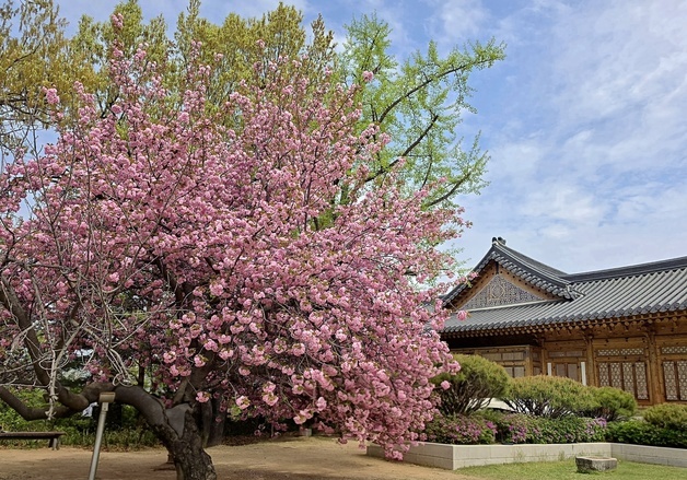 주말 낮 30도 육박·서울 28도 초여름 더위…남부 비 그친 뒤 큰 일교차