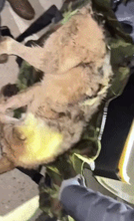 본문 이미지 - 대전시 공식 인스타그램