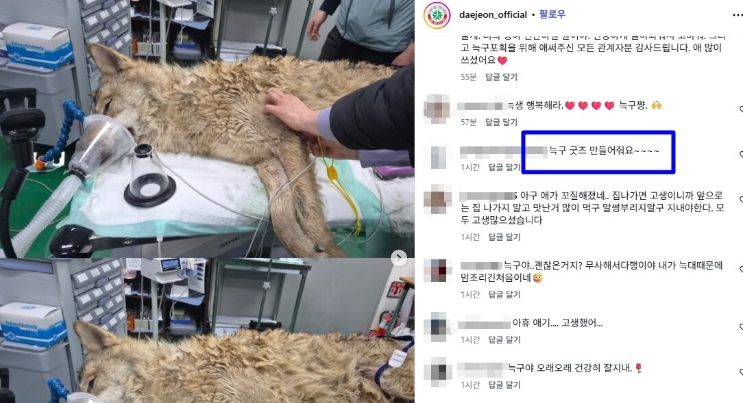 본문 이미지 - 대전시 공식 인스타그램