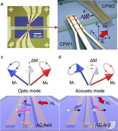 본문 이미지 - 합성 반강자성체(SAF) 구조와 스핀파 전파를 위한 소자 개략도(KAIST 제공) /뉴스1