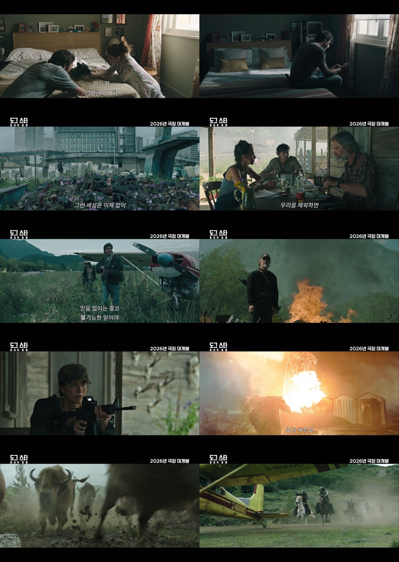 본문 이미지 - '도그 스타: 마지막 희망' 티저 예고편