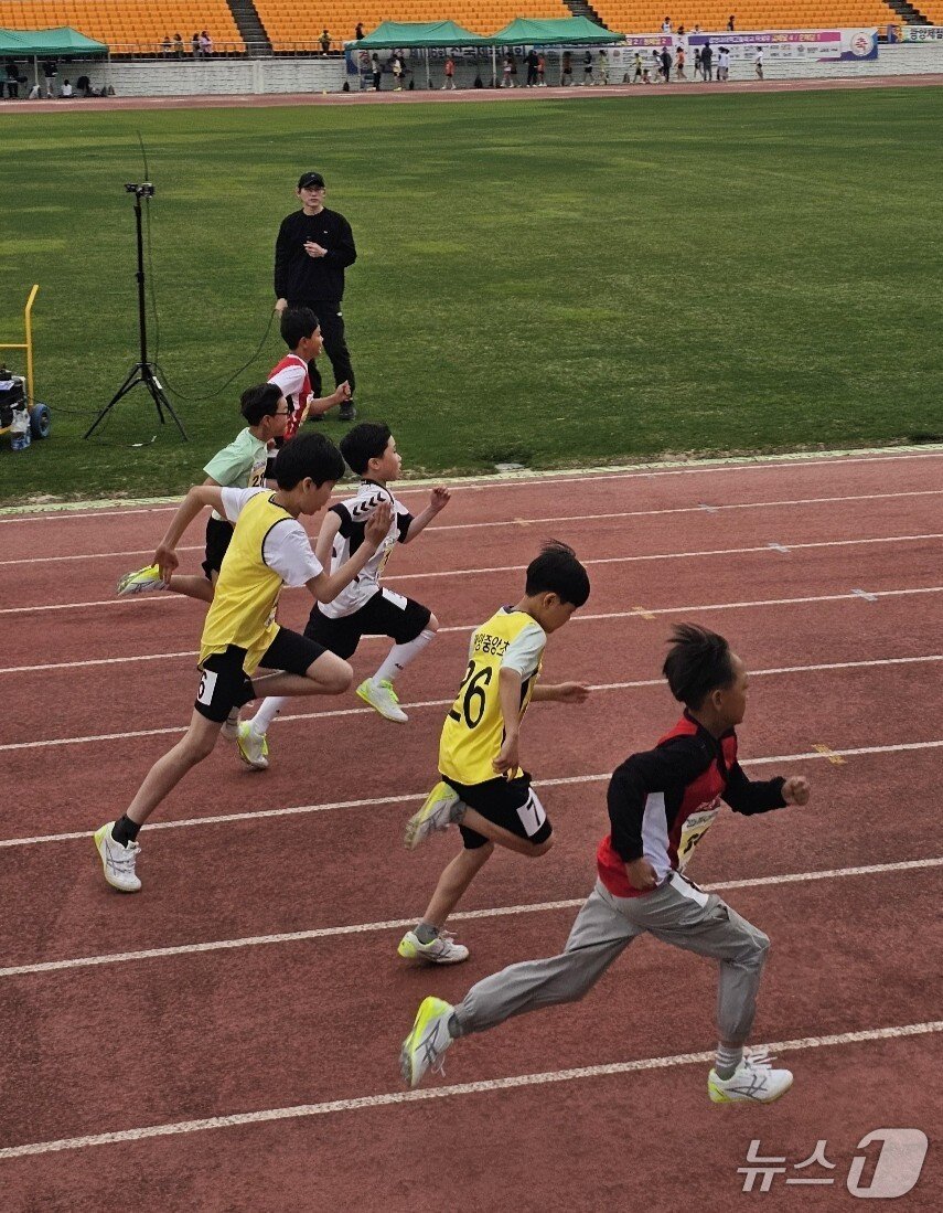 본문 이미지 -  '광양교육지원청 교육장기 학년별 육상경기 대회 장면.(전남교육청 제공, 재판매 및 DB금지)/뉴스1 