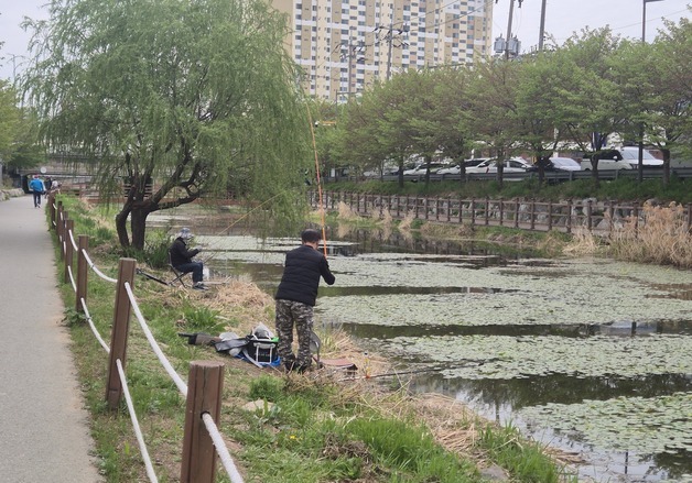 인천 서부간선수로 낚시금지 '사각지대'…농어촌공사, 지자체에 지정 건의