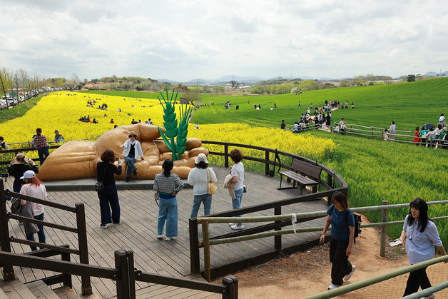 고창 청보리밭 축제 18일 개막…3주간 봄 축제 이어진다