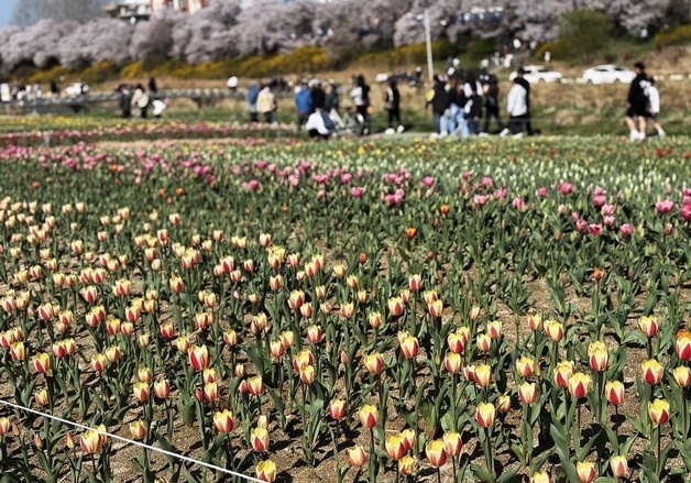 [오늘의 날씨] 충북·세종(18일, 토)…낮 최고 26도, 일교차 주의