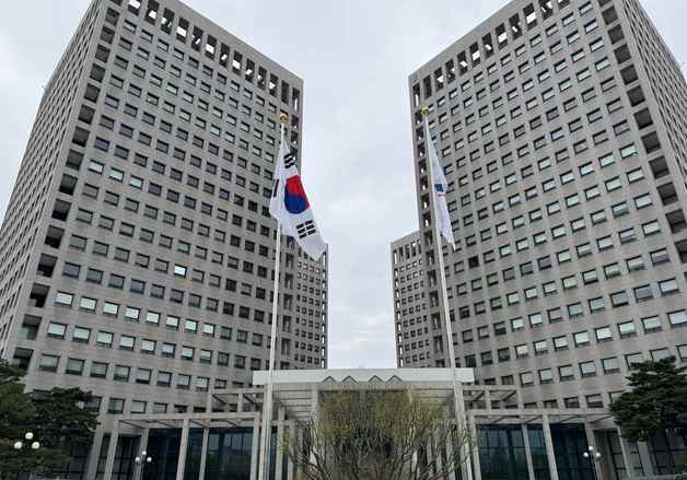 산림청, 산림사업체·산림기술자 불법행위 집중단속