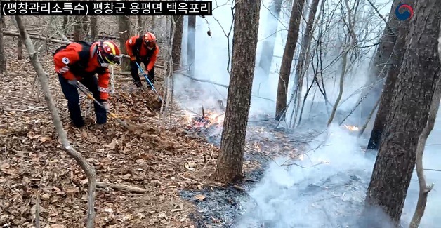 평창 대관령서 산불…헬기 6대 투입해 1시간 20분만에 진화(종합)