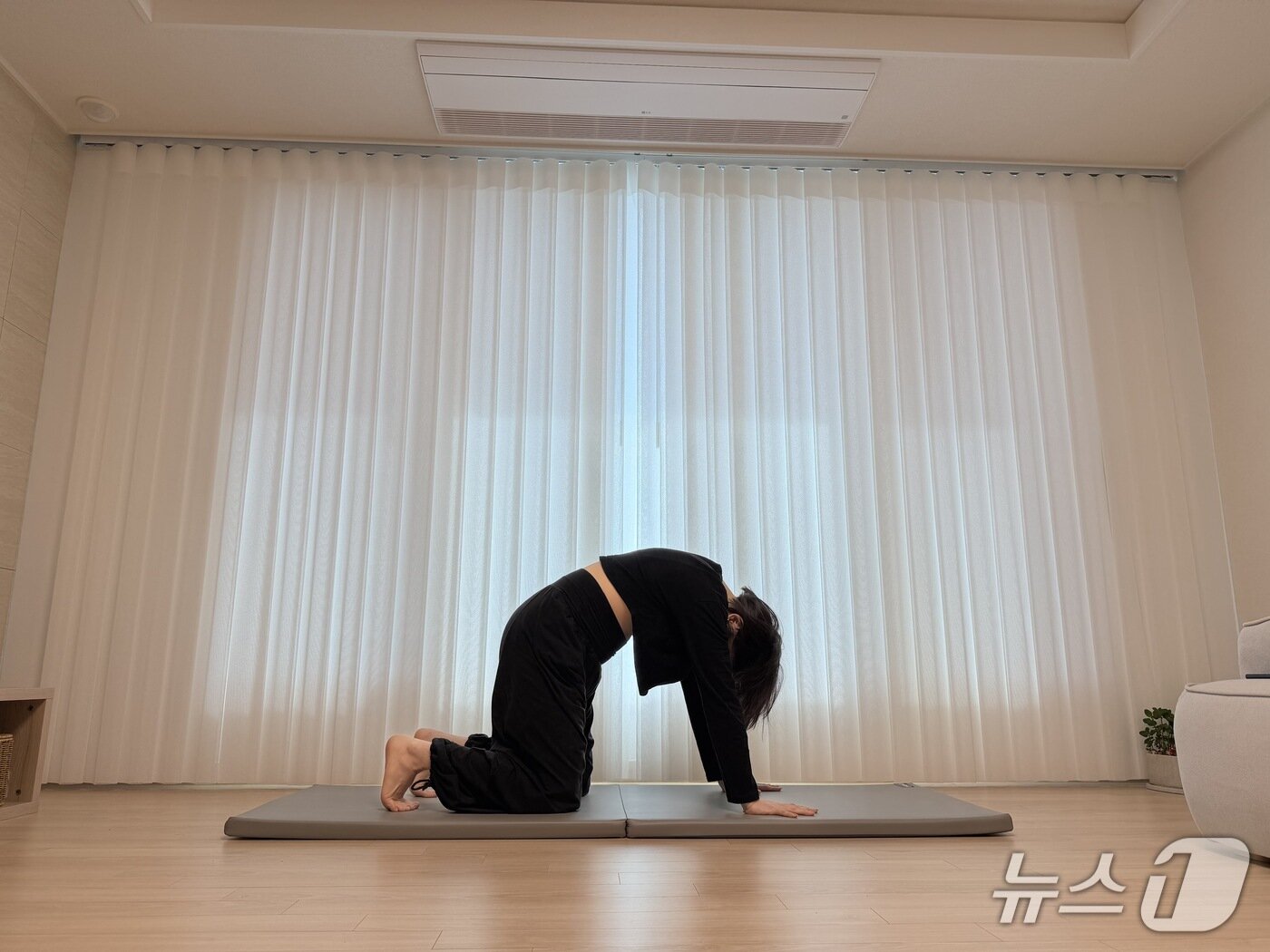 본문 이미지 - 김유빈 요가강사가 고양이 자세를 보여주고 있다. 손바닥으로 바닥을 강하게 밀고 꼬리뼈를 아래로 내리며, 배꼽을 등 쪽으로 당기고 턱을 목구멍 가까이 당겨 등을 둥글게 만든다. 소 자세와 마찬가지로 척추 유연성 증가에 도움이 된다.ⓒ 뉴스1 서장원 기자