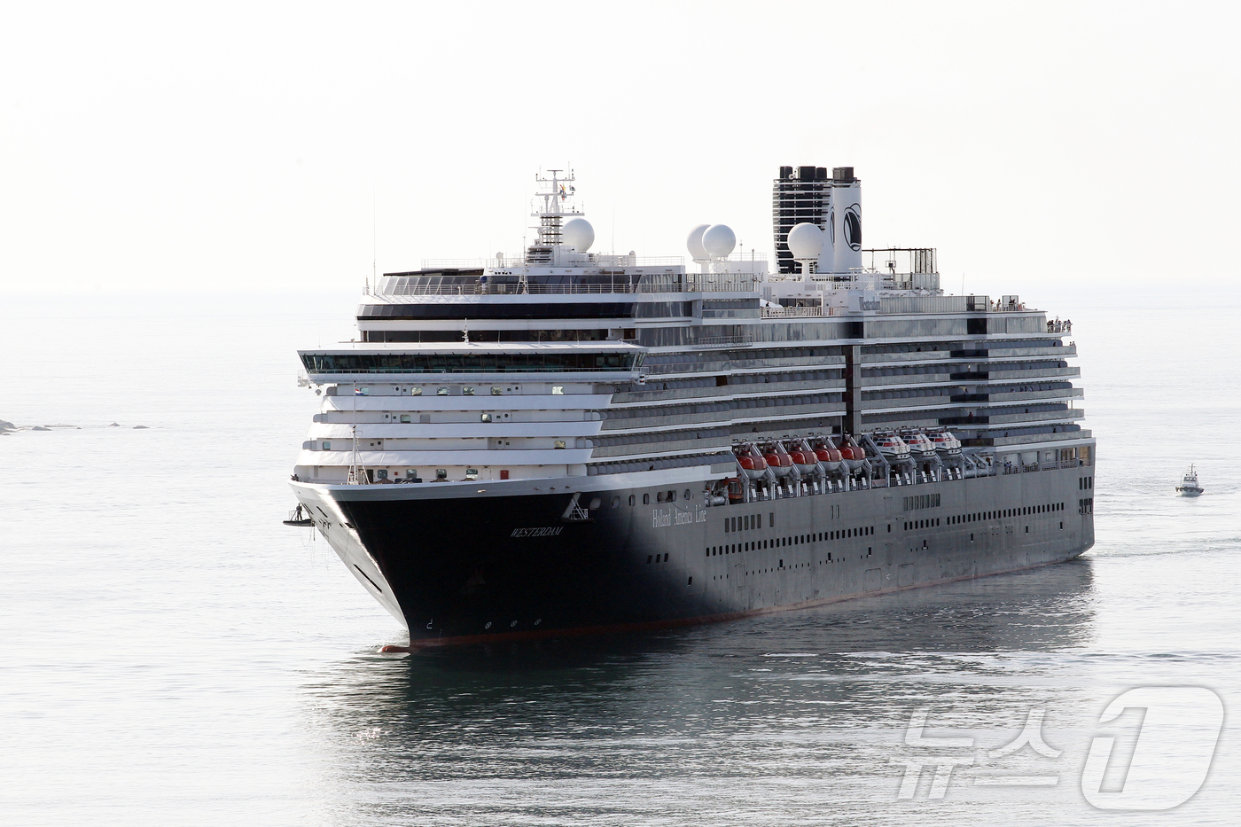 (속초=뉴스1) 윤왕근 기자 = 강원 속초항에 올해 첫 크루즈인 8만 2000톤 급 대형 프리미엄 크루즈 웨스테르담호가 18일 2000여 명의 외국인 관광객을 태우고 입항했다. 이 …