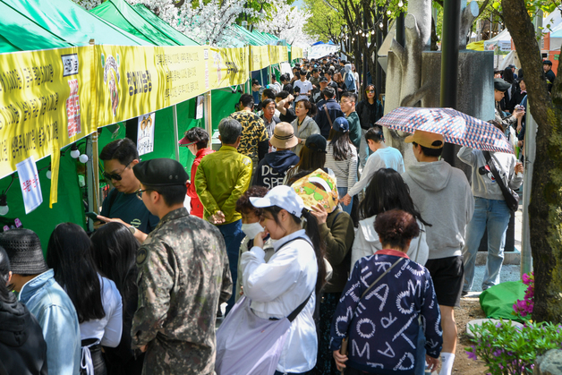 '봄나물 황제' 곰취 맛보러 오세요…양구 곰취축제 5월 2일 개막