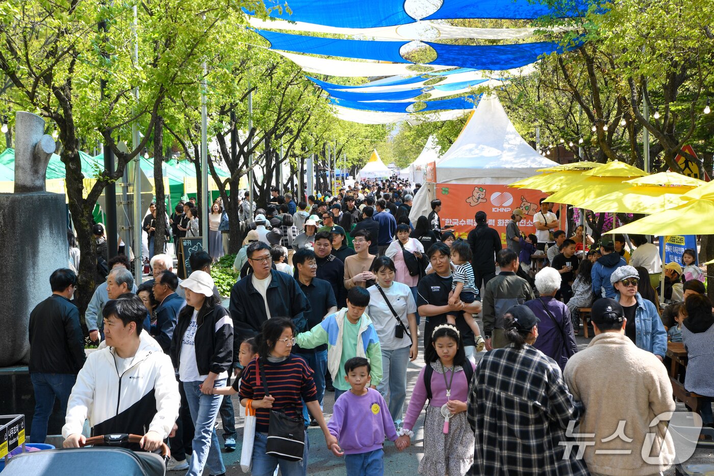 본문 이미지 - 양구 곰취축제 자료사진.(양구군 제공. 재판매 및 DB금지)/뉴스1