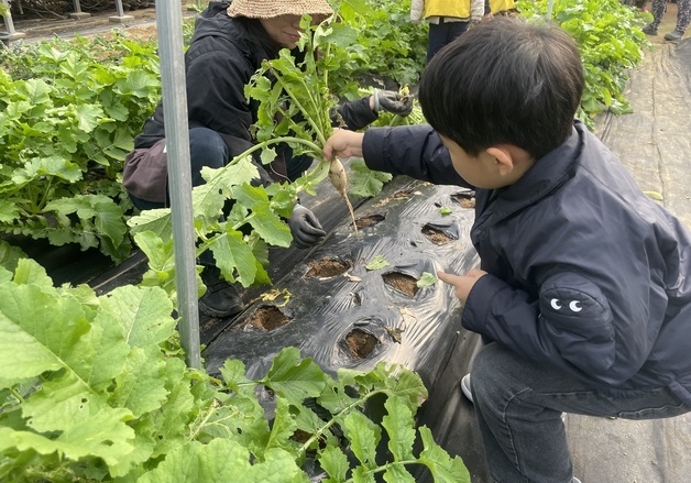 "흙 밟고 감자 캐고"…서울시, 어린이 농업 체험 참가자 모집