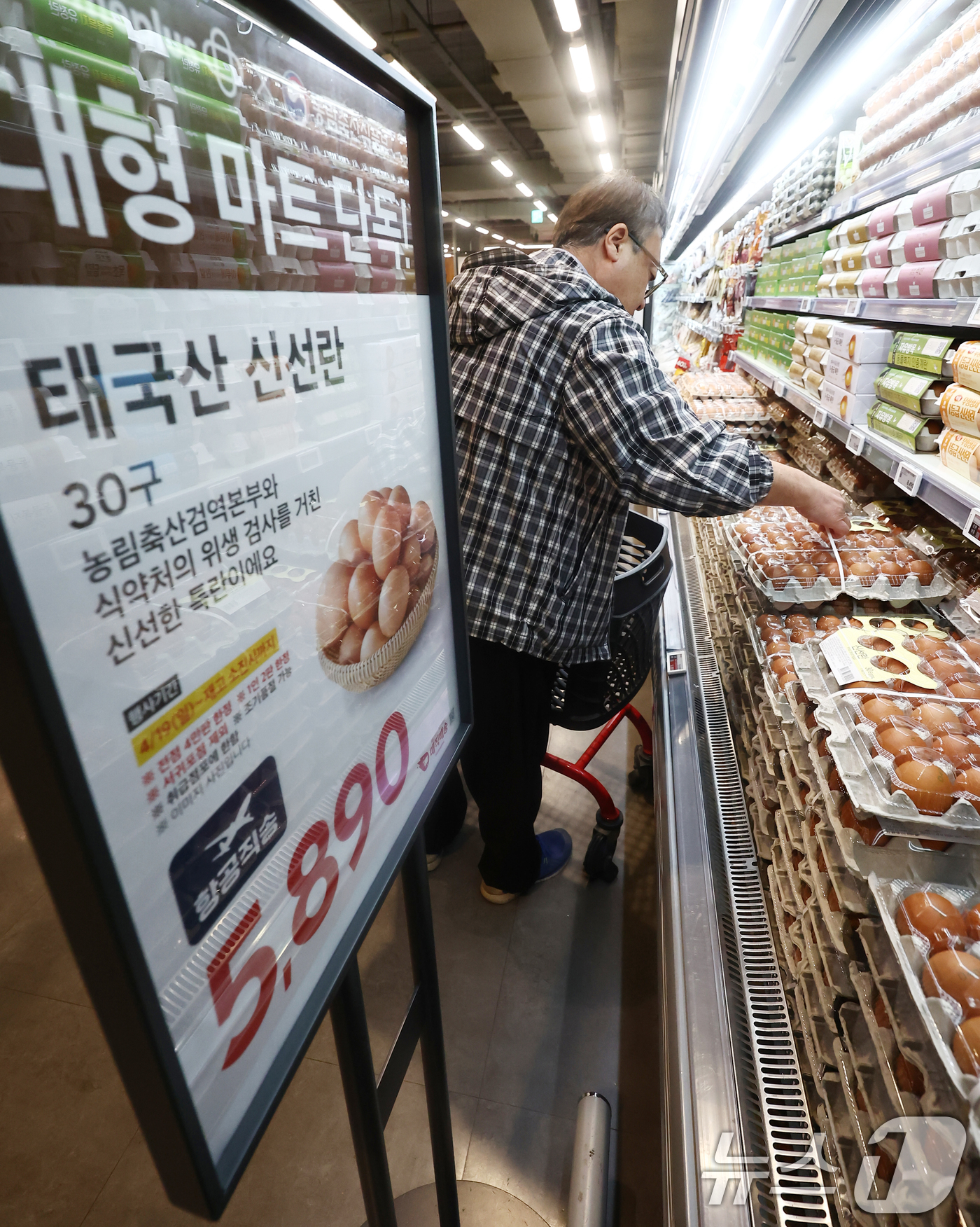 (서울=뉴스1) 김민지 기자 = 19일 오전 서울 강서구 홈플러스 강서점에서 시민들이 태국산 신선란을 구매하고 있다.이날부터 전국 홈플러스 매장에서 태국산 신선란 한판(30구)을 …