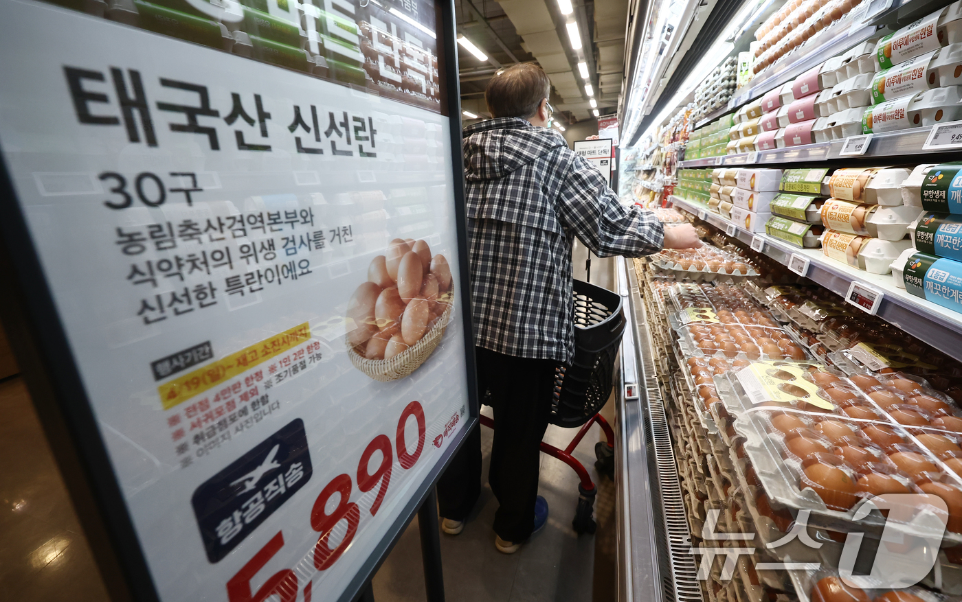 (서울=뉴스1) 김민지 기자 = 19일 오전 서울 강서구 홈플러스 강서점에서 시민들이 태국산 신선란을 구매하고 있다.이날부터 전국 홈플러스 매장에서 태국산 신선란 한판(30구)을 …