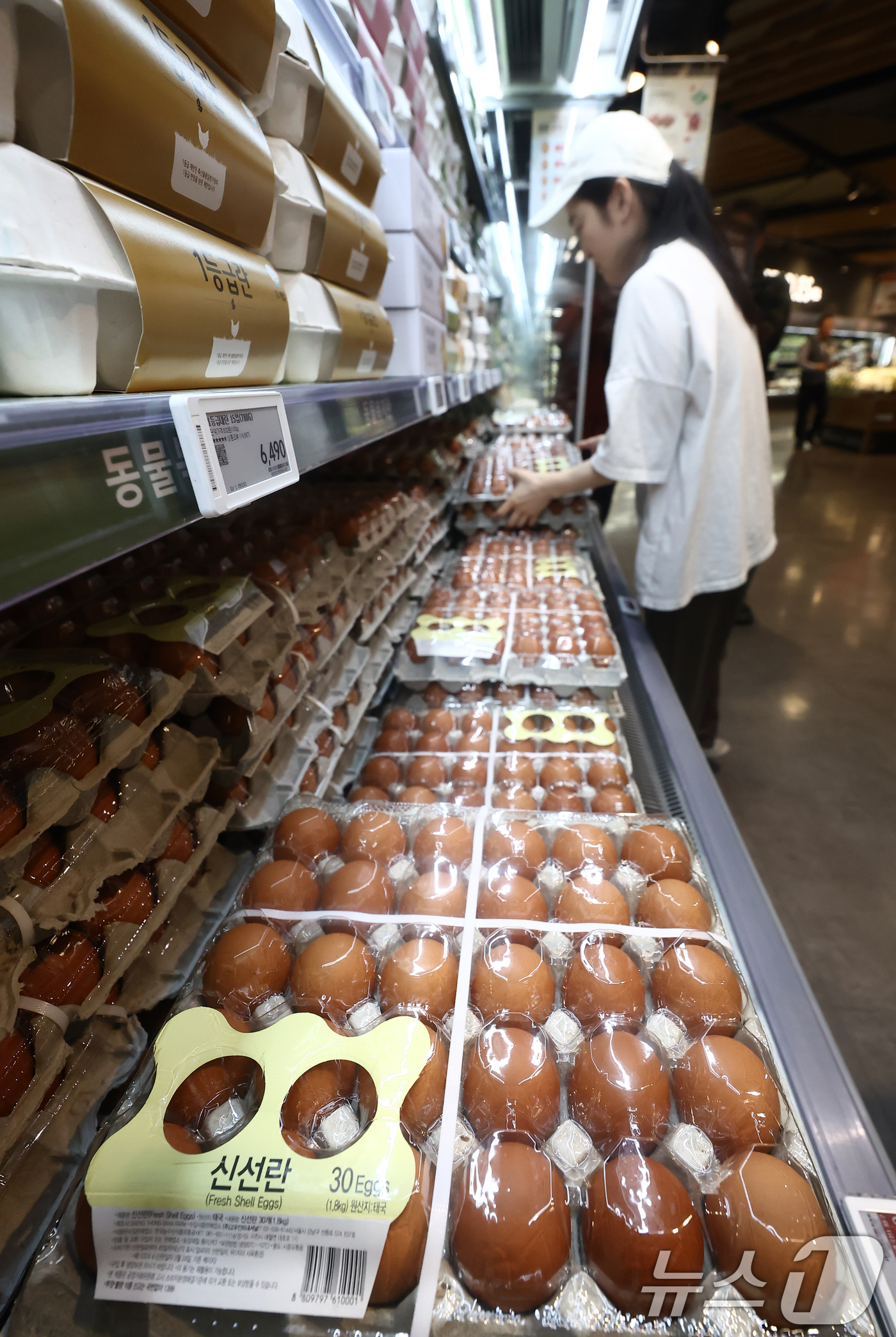 (서울=뉴스1) 김민지 기자 = 19일 오전 서울 강서구 홈플러스 강서점에서 시민들이 태국산 신선란을 구매하고 있다.이날부터 전국 홈플러스 매장에서 태국산 신선란 한판(30구)을 …