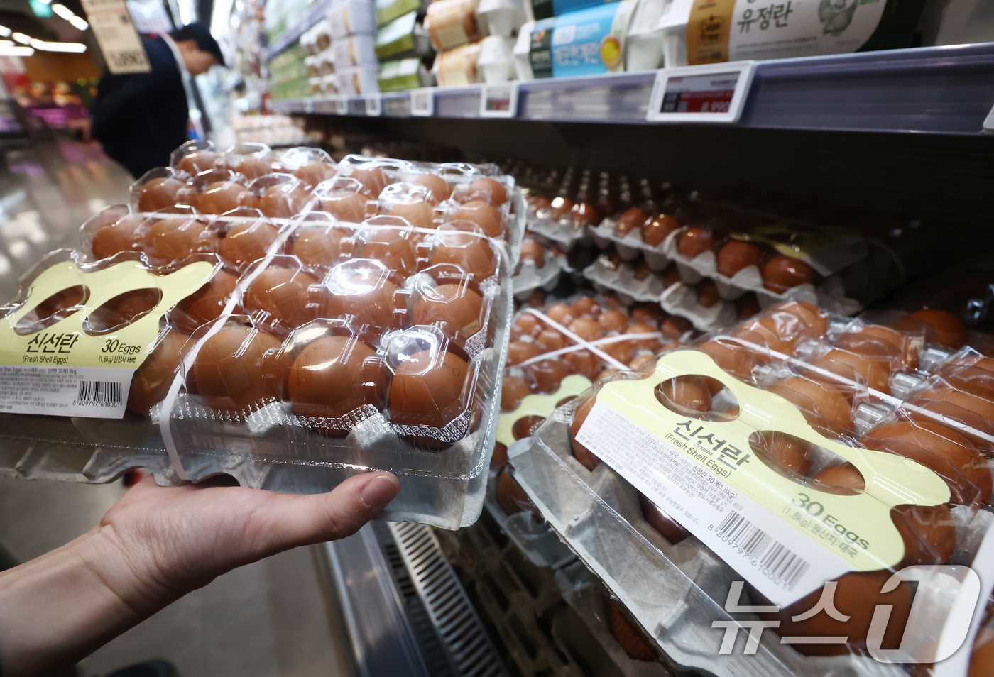 (서울=뉴스1) 김민지 기자 = 19일 오전 서울 강서구 홈플러스 강서점에서 시민들이 태국산 신선란을 구매하고 있다.이날부터 전국 홈플러스 매장에서 태국산 신선란 한판(30구)을 …