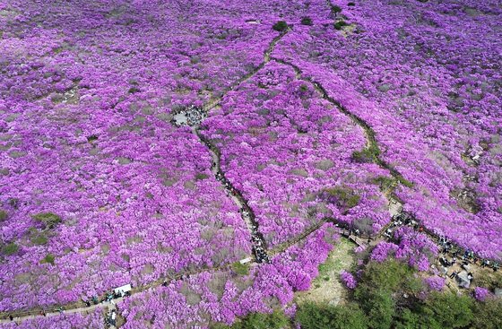 [오늘의 날씨]대구·경북(20일, 월)…흐리고 가끔 비, 밤부터 기온 '뚝'