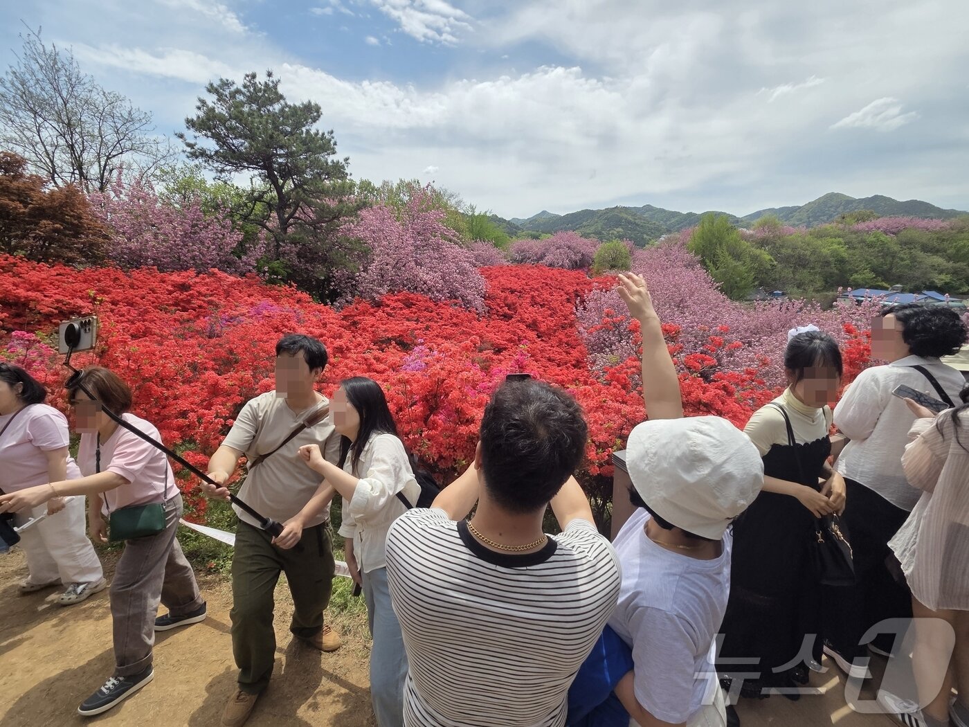본문 이미지 - 19일 오전 11시께 찾은 전북 전주시 완산구의 완산칠봉 꽃동산에서 상춘객들이 촬영을 하고 있다. ⓒ 뉴스1 장수인 기자
