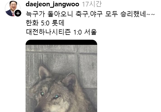 "늑구 돌아오니 한화 제구도 돌아왔네"…들썩이는 대전