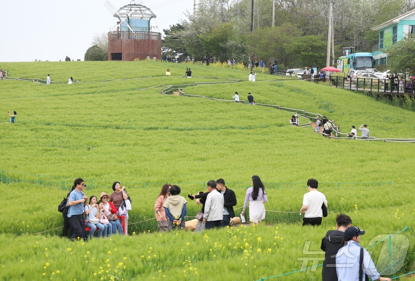 본문 이미지 - 고창 청보리밭 축제가 한창인 19일 전북 고창군 학원농장을 찾은 나들이객들이 산책로를 거닐고 있다. 2026.4.19 ⓒ 뉴스1 유경석 기자