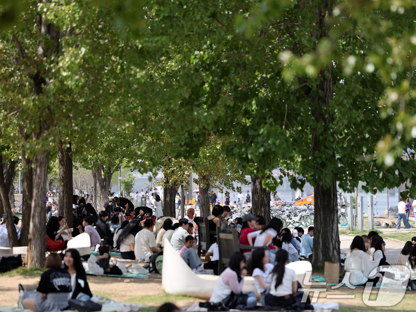 (서울=뉴스1) 황기선 기자 = 낮 기온이 전국 내륙을 중심으로 최고 29도로 치솟으며 초여름 날씨를 보인 19일 오후 서울 영등포구 여의도 한강공원에서 시민들이 즐거운 시간을 보 …