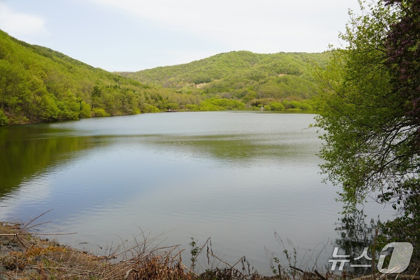 본문 이미지 - 충남 예산군 광시면 살목지. 2026.4.19 ⓒ 뉴스1 최형욱 기자 