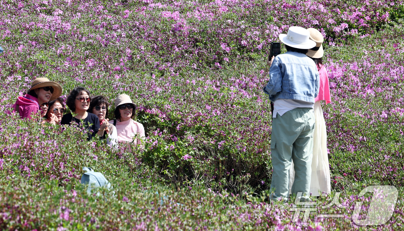 (서울=뉴스1) 최지환 기자 = 2026 불암산 철쭉제가 열린 19일 오후 서울 노원구 불암산힐링타운에서 시민들이 기념촬영을 하고 있다.10만 주의 철쭉을 볼 수 있는 2026 불 …
