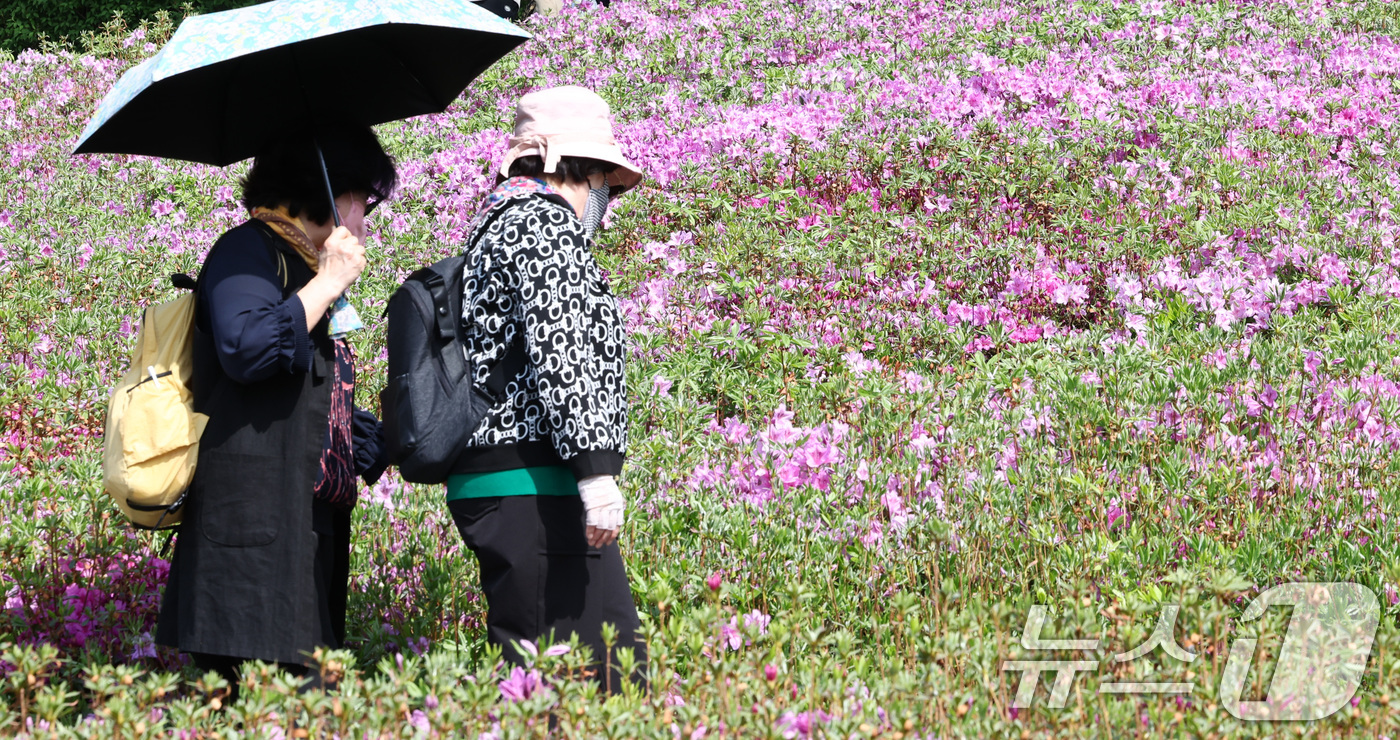 (서울=뉴스1) 최지환 기자 = 2026 불암산 철쭉제가 열린 19일 오후 서울 노원구 불암산힐링타운에서 시민들이 철쭉동산을 거닐고 있다.10만 주의 철쭉을 볼 수 있는 2026 …