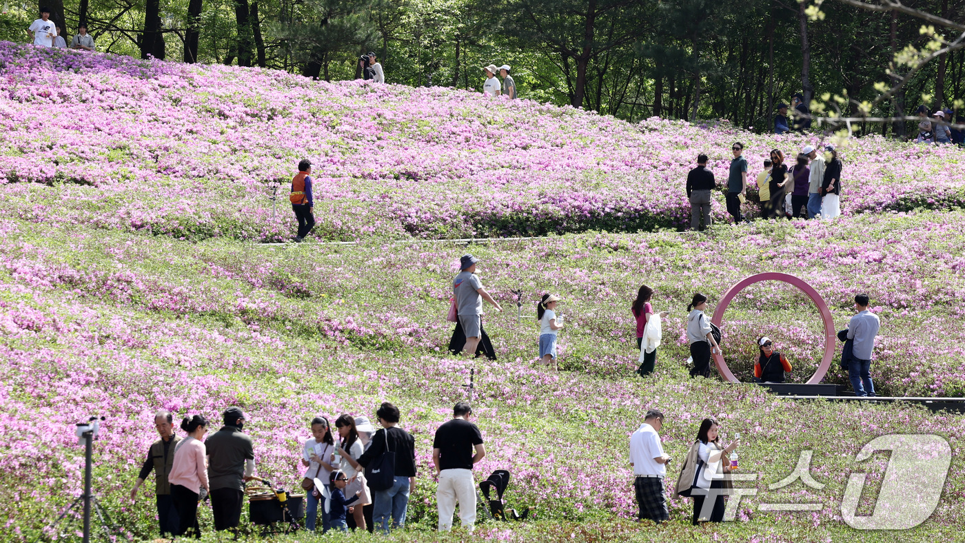 (서울=뉴스1) 최지환 기자 = 2026 불암산 철쭉제가 열린 19일 오후 서울 노원구 불암산힐링타운에서 시민들이 철쭉동산을 거닐고 있다.10만 주의 철쭉을 볼 수 있는 2026 …