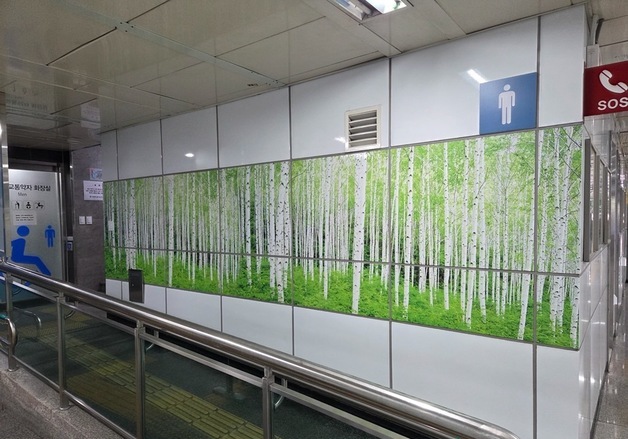 "역삼역서 자작나무숲 만나요" 인제군, 서울 도심서 이색 홍보 '눈길'