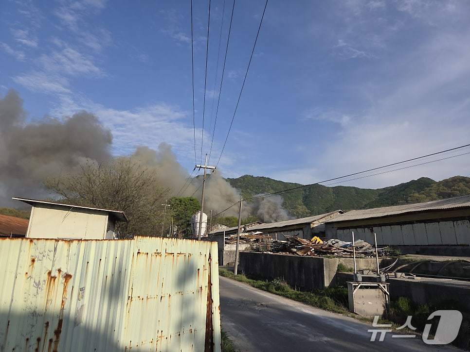 본문 이미지 -  논산 연무읍 돈사 화재 현장.(논산소방서 제공, 재판매 및 DB금지) / 뉴스1