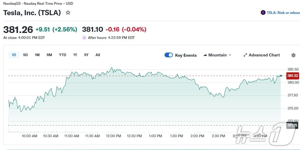 본문 이미지 - 테슬라 일일 주가 추이 - 야후 파이낸스 갈무리