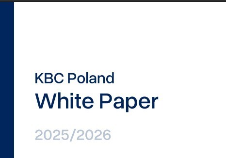 "K-배터리 폴란드 정부 지원 필요"…무협, 현지 규제 백서 발간