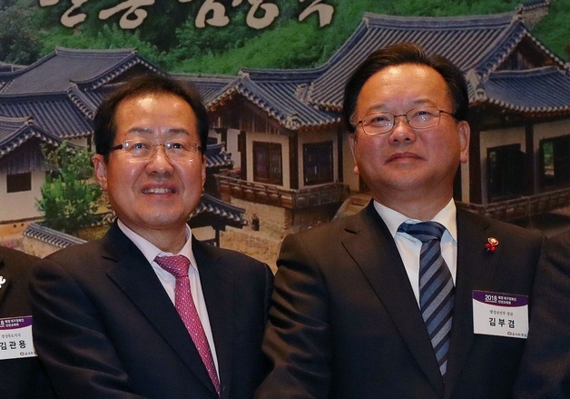 홍준표, 김부겸 지지 선언…"능력 있고 중앙정부와 타협 가능"