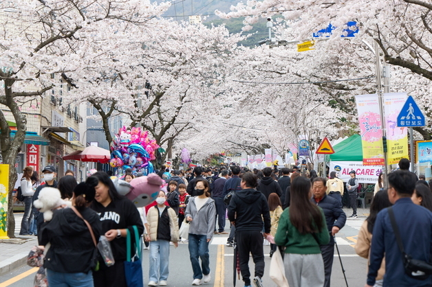"벚꽃 야경 구경하세요" 통영 봉숫골 꽃나들이 축제 4~5일