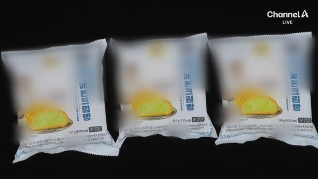 본문 이미지 - (채널A 갈무리)