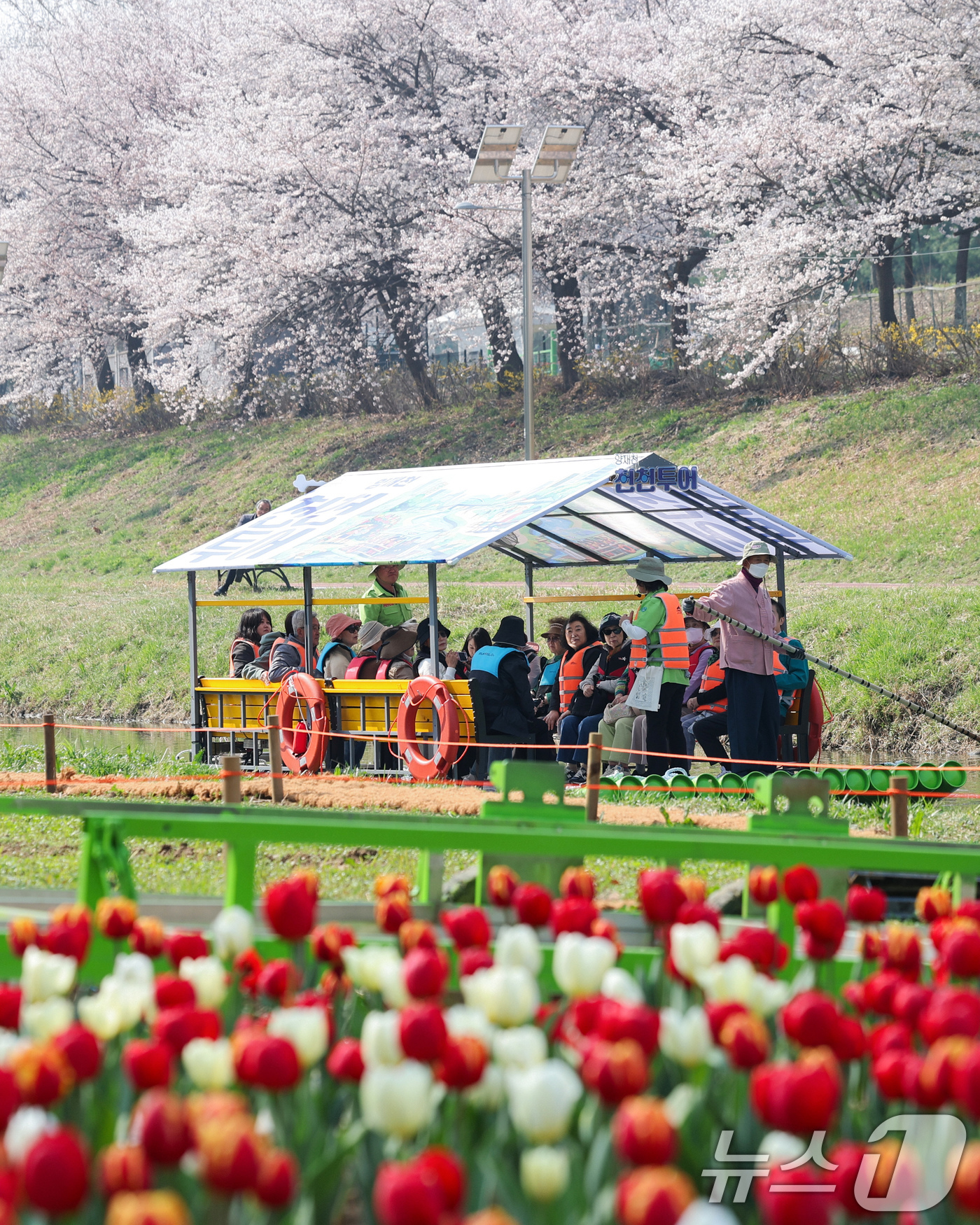 (서울=뉴스1) 임지훈 인턴기자 = ‘양재천 천천투어’에 참여한 서초구민 어르신들이 2일 서울 서초구 양재천에서 뗏목을 타고 이동하고 있다.‘양재천 천천투어’는 ‘하천(川)에서 천 …