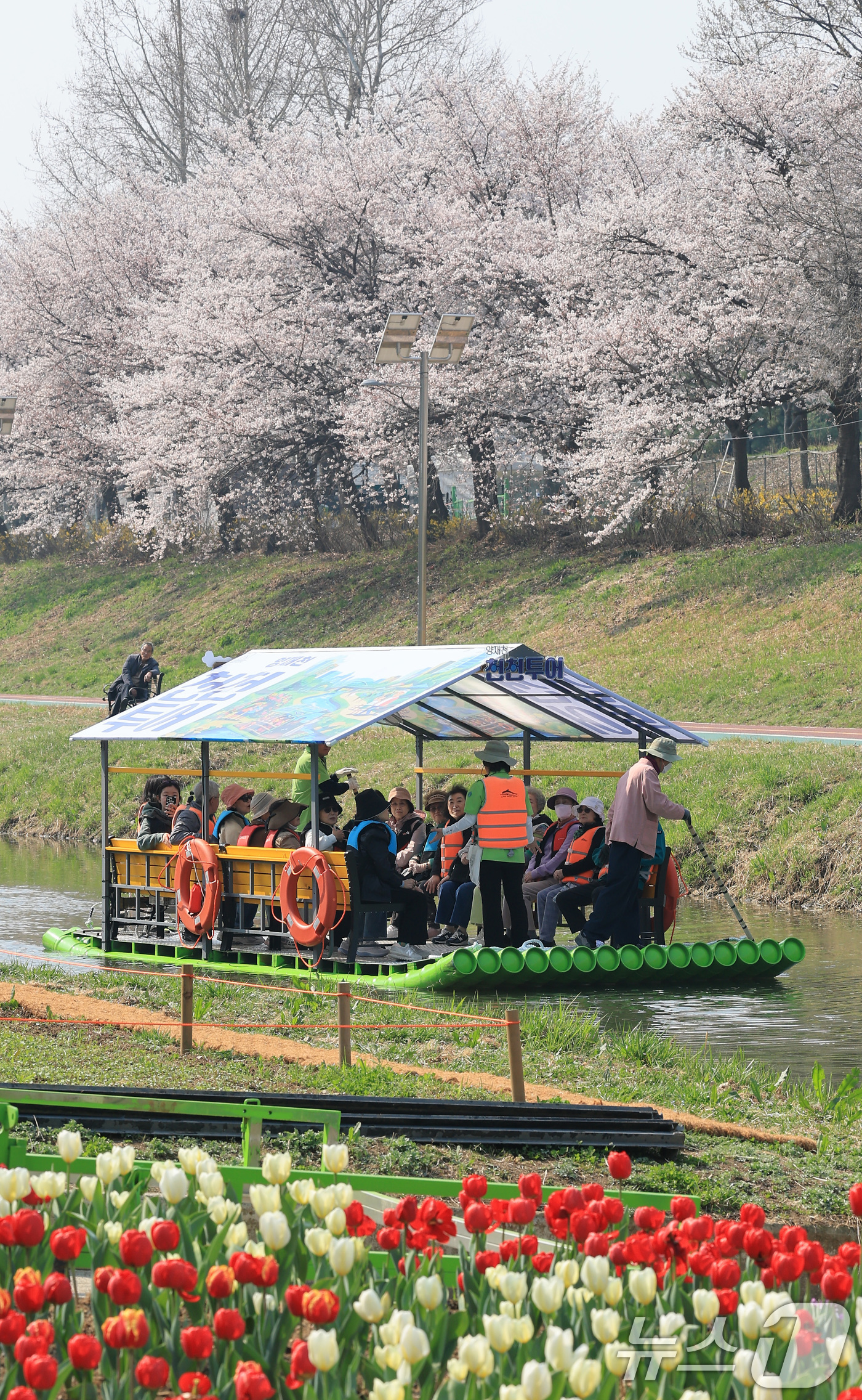 (서울=뉴스1) 임세영 기자 = 2일 오전 서울 서초구 양재천에서 열린 '양재천 천천투어 어르신 하루여행'에 참가한 어르신들이 도심 속 이색 뗏목 체험을 하고 있다.서초구는 4월부 …