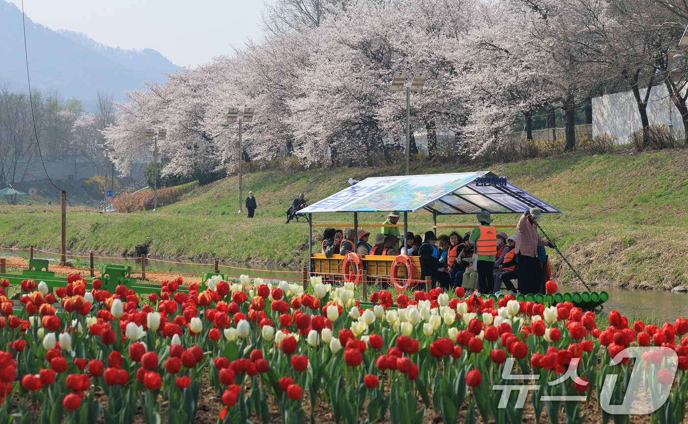 (서울=뉴스1) 임세영 기자 = 2일 오전 서울 서초구 양재천에서 열린 '양재천 천천투어 어르신 하루여행'에 참가한 어르신들이 도심 속 이색 뗏목 체험을 하고 있다.서초구는 4월부 …