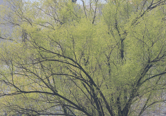 서초구, '양재천 천천투어 어르신 하루여행' 운영