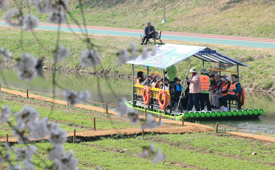 '벚꽃길 따라 뗏못 체험'
