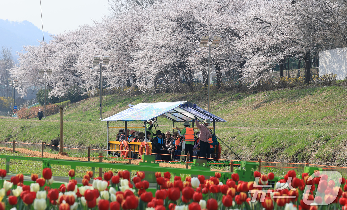 (서울=뉴스1) 임세영 기자 = 2일 오전 서울 서초구 양재천에서 열린 '양재천 천천투어 어르신 하루여행'에 참가한 어르신들이 도심 속 이색 뗏목 체험을 하고 있다.서초구는 4월부 …
