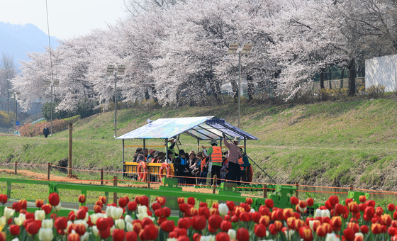 서초구, '양재천 천천투어 어르신 하루여행' 운영