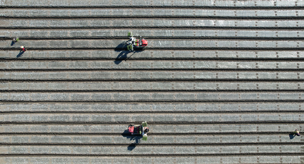 농업 자재값 급등에 사재기 우려…비료·비닐·부직포 부족 현상