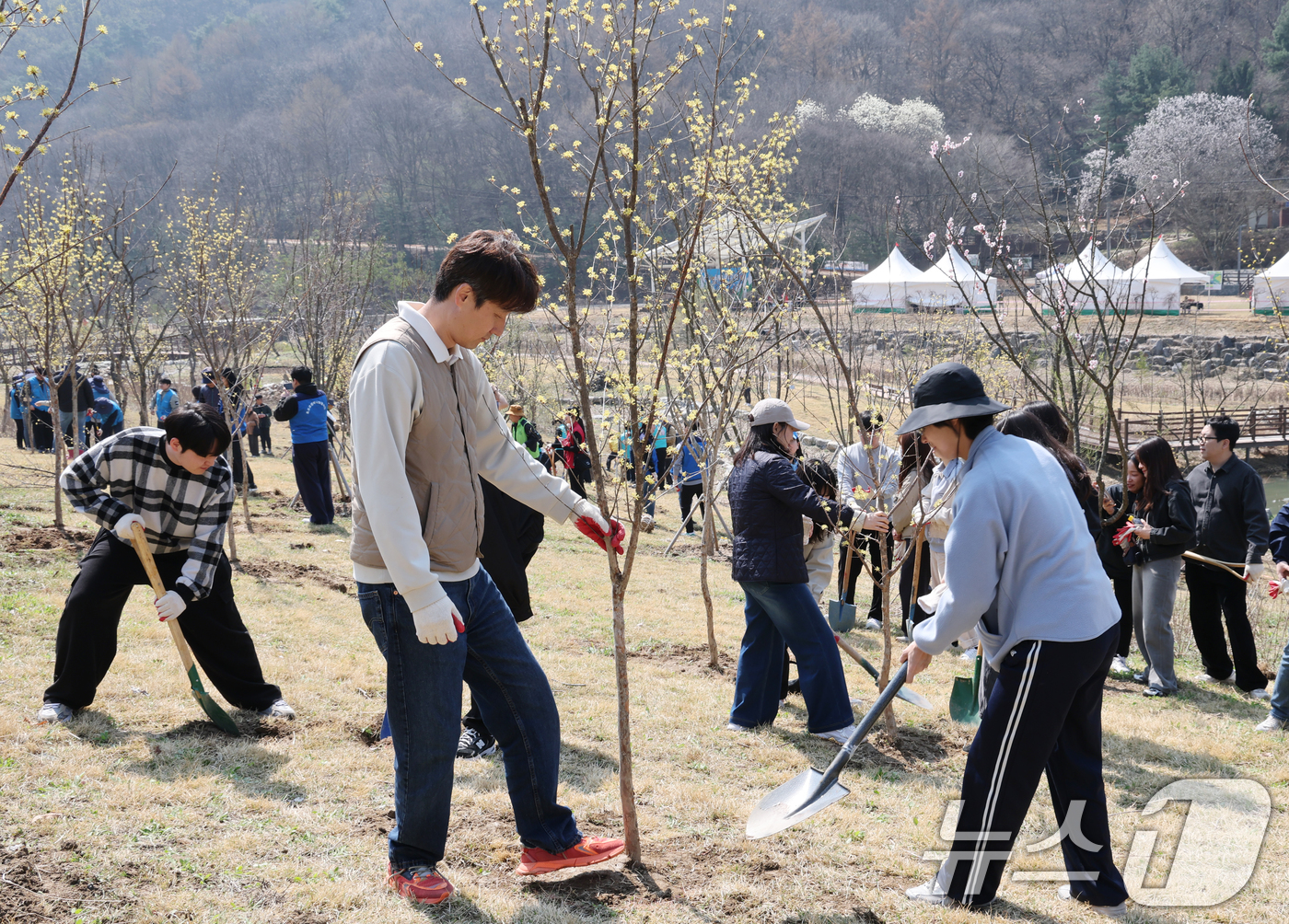(대전=뉴스1) 김기태 기자 = 제81회 식목일을 앞둔 2일 대전 대덕구 장동문화공원 일원에서 대전문화재단 직원들이 나무를 심고 있다.  2026.4.2/뉴스1