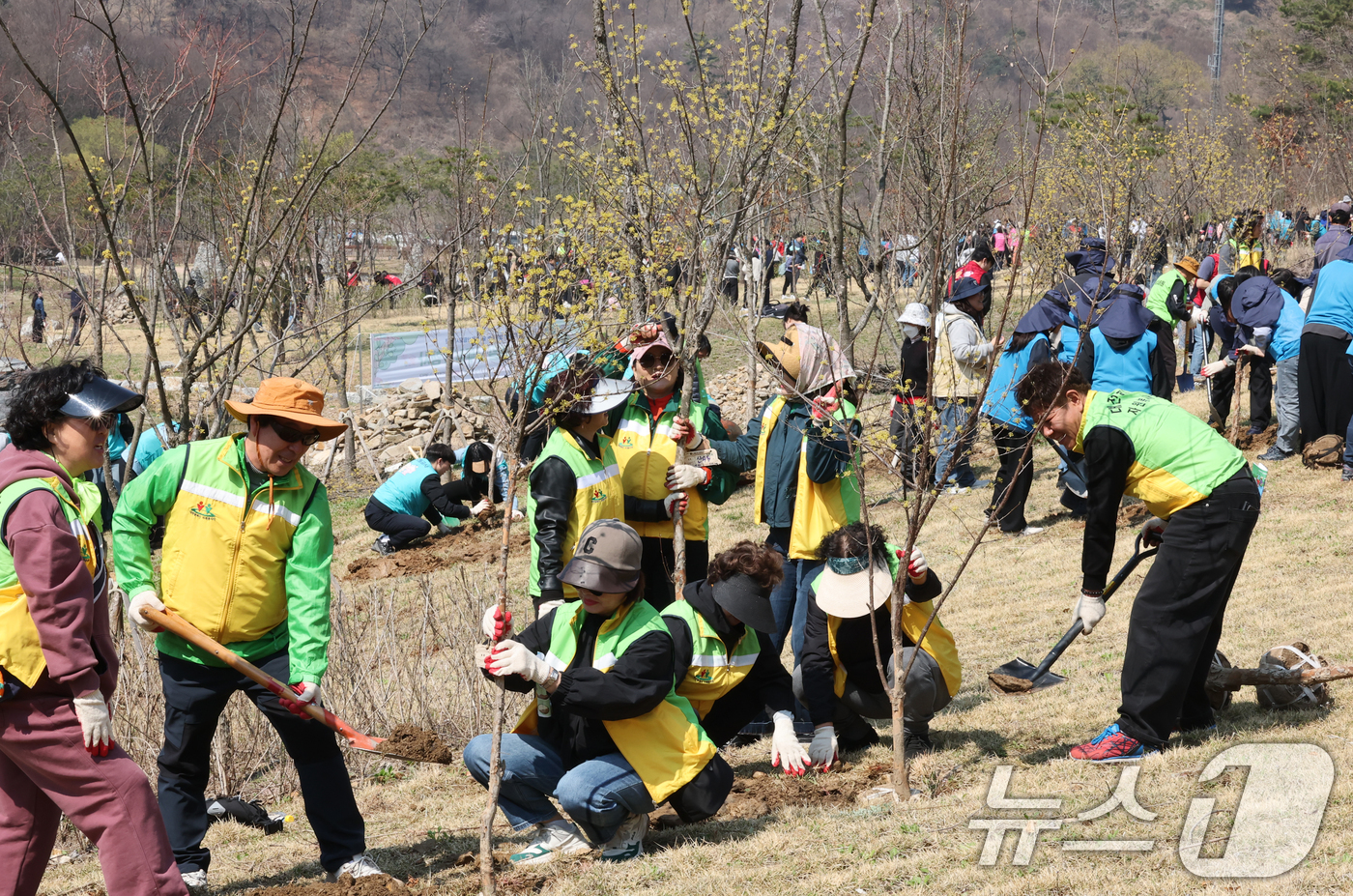 (대전=뉴스1) 김기태 기자 = 제81회 식목일을 앞둔 2일 대전 대덕구 장동문화공원 일원에서 참가자들이 나무를 심고 있다.  2026.4.2/뉴스1