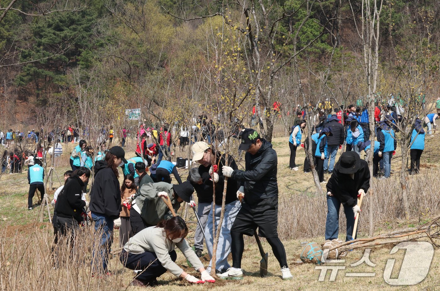 본문 이미지 - 제81회 식목일을 앞둔 2일 대전 대덕구 장동문화공원 일원에서 참가자들이 나무를 심고 있다. 2026.4.2 ⓒ 뉴스1 김기태 기자