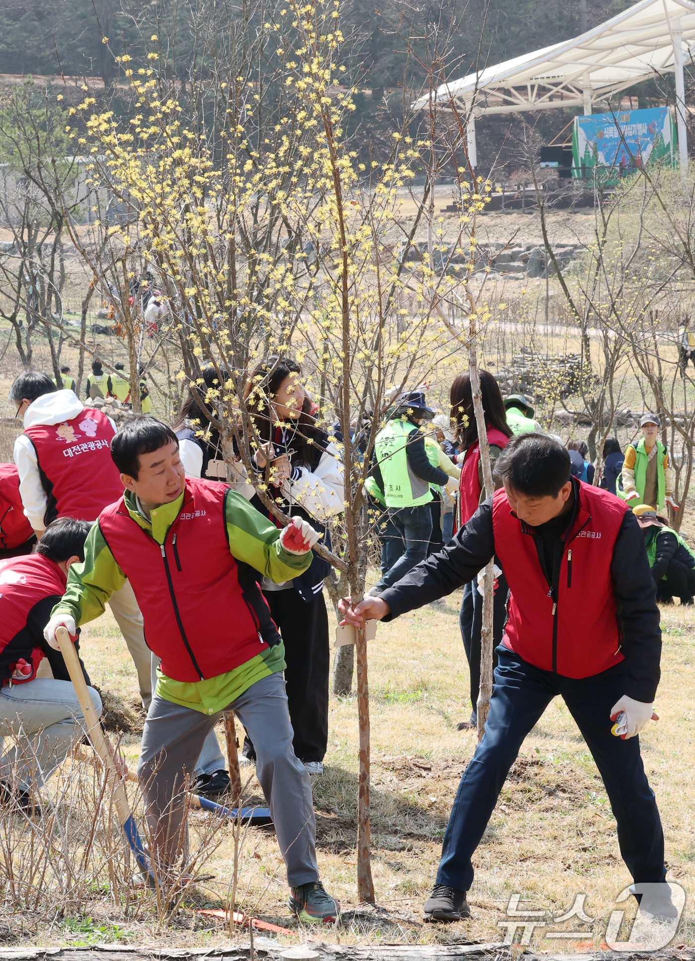 (대전=뉴스1) 김기태 기자 = 제81회 식목일을 앞둔 2일 대전 대덕구 장동문화공원 일원에서 진행된 나무심기 행사에서 대전관광공사 직원들이 나무를 심고 있다.   2026.4.2 …