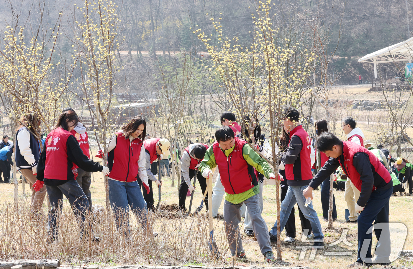 (대전=뉴스1) 김기태 기자 = 제81회 식목일을 앞둔 2일 대전 대덕구 장동문화공원 일원에서 진행된 나무심기 행사에서 대전관광공사 직원들이 나무를 심고 있다.   2026.4.2 …